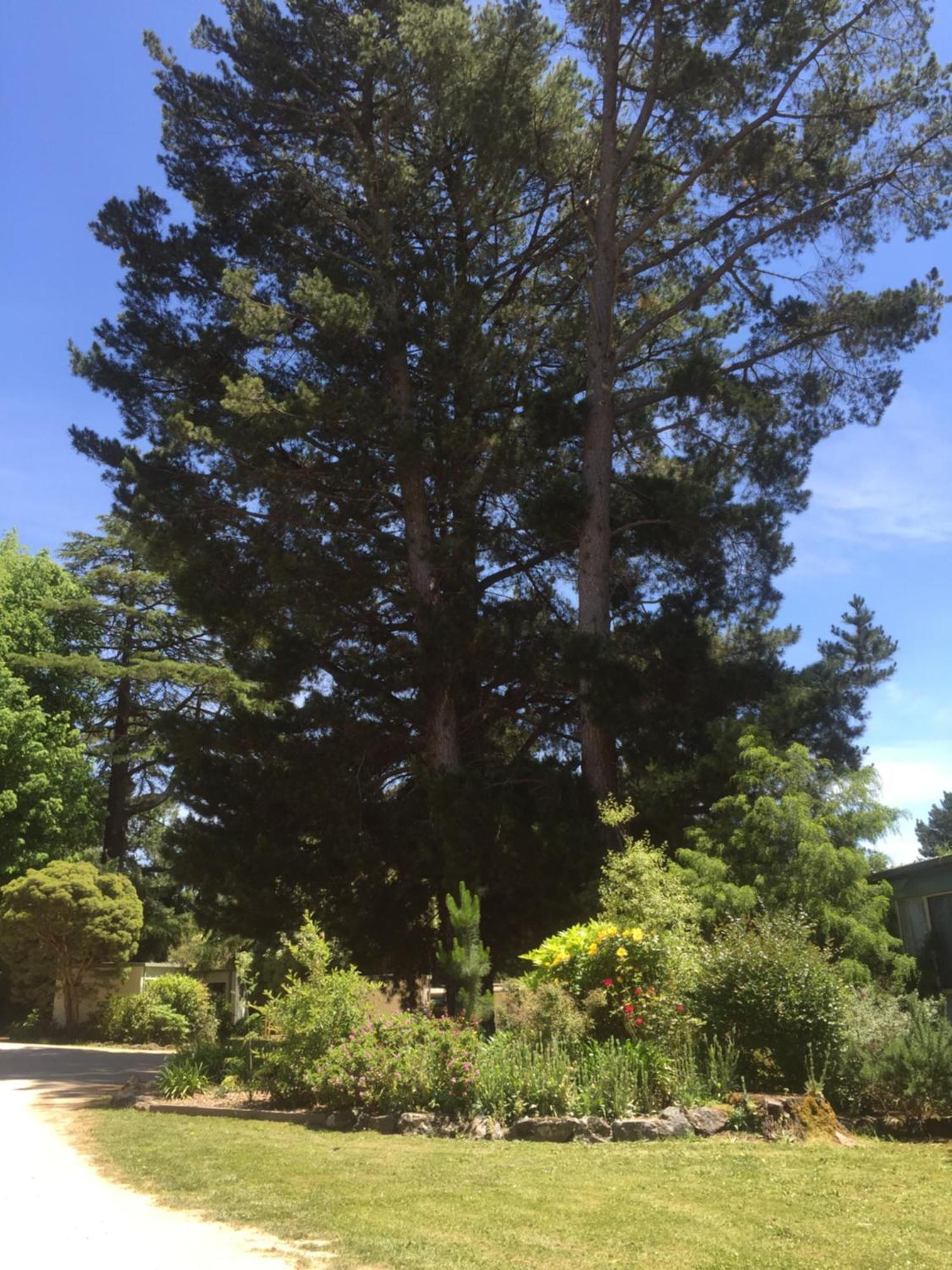 Daylesford Holiday Park Esterno foto